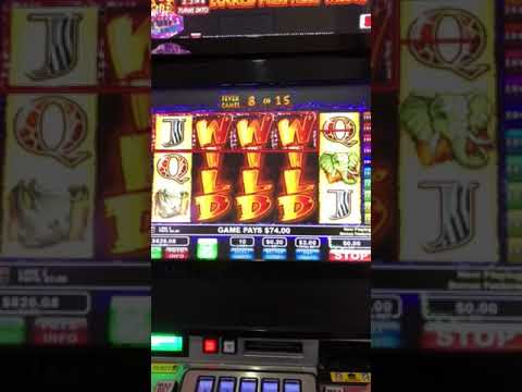 State of illinois gambling machines